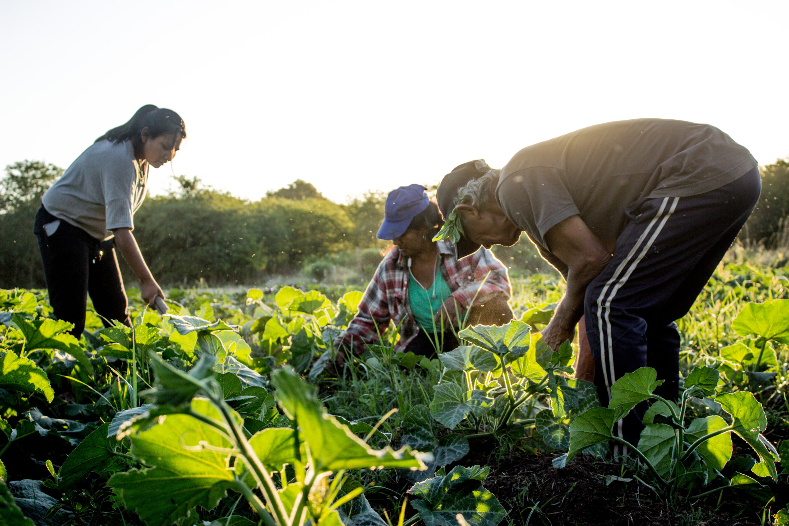 Colonia agroecológica de Luján